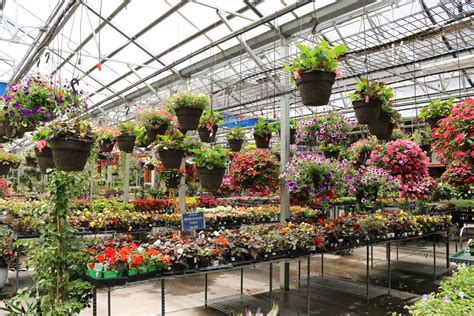 Lanoha nursery - Lanoha Nurseries corporate office is located in 19111 W Center Rd, Omaha, Nebraska, 68130, United States and has 73 employees ... Nebraska, Lanoha Nurseries is one of the largest nursery and garden centers growing trees and plant material as well as providing landscape design and construction services for …